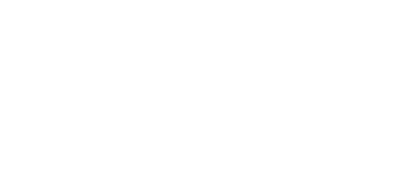 Ay Chihuahua Bar